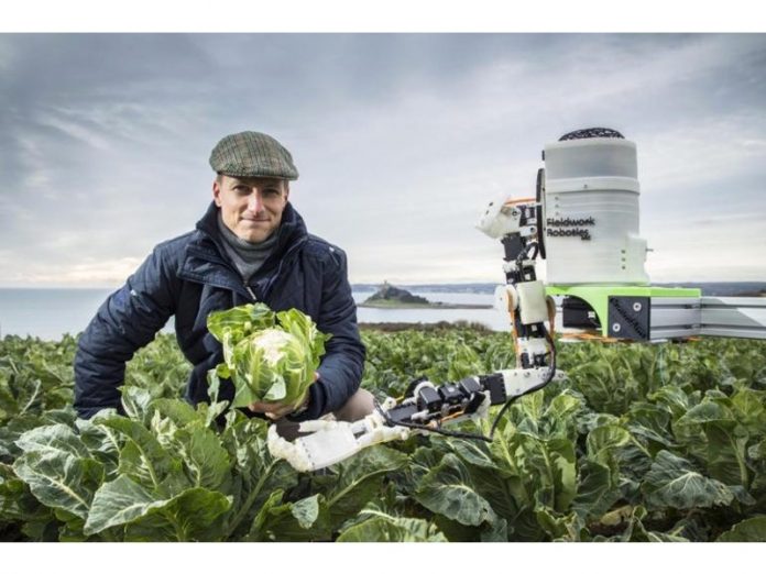 Agricultural robots about to replace human to harvest fruits