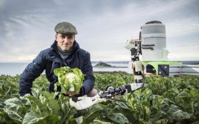 Agricultural robots about to replace human to harvest fruits